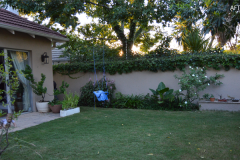 FRONT COURTYARD AFTER