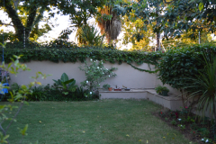 FRONT COURTYARD AFTER